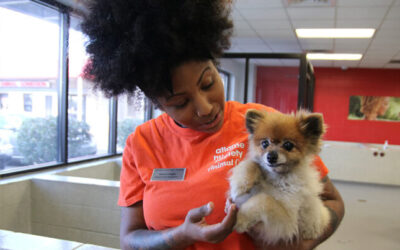 Atlanta Humane Society is Creative Cares’ First Quarter Recipient